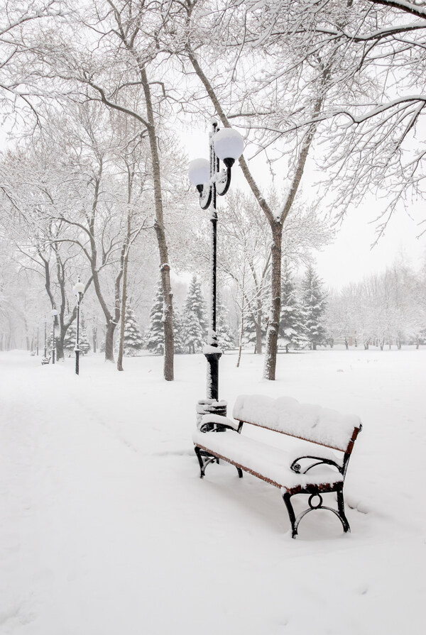 雪中长椅图片