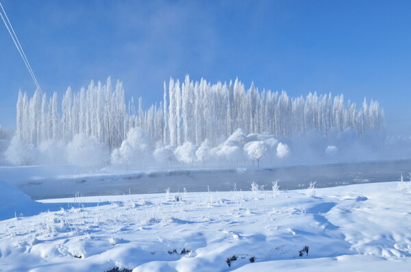 冬季雪景背景