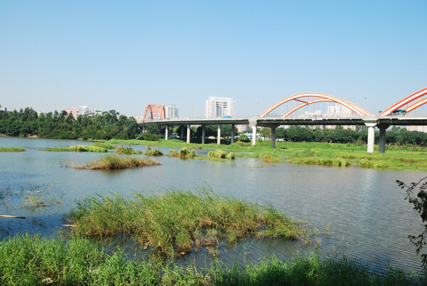 深圳洪湖公园洪湖大桥图片