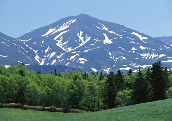 草原绿树远处高山