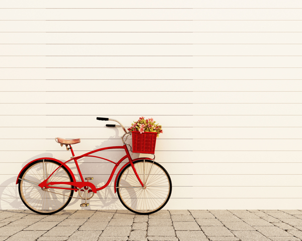 红色花篮自行车图片