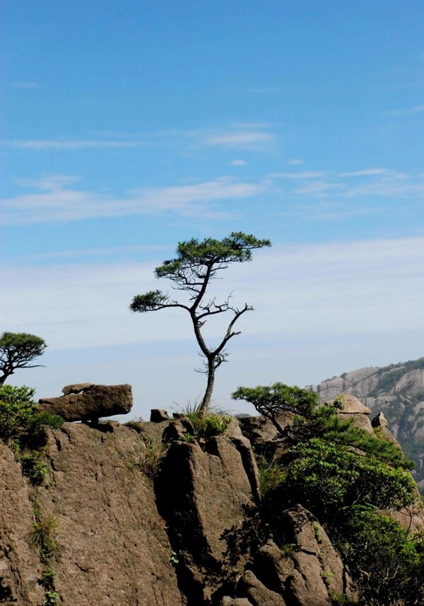 黄山风光图片