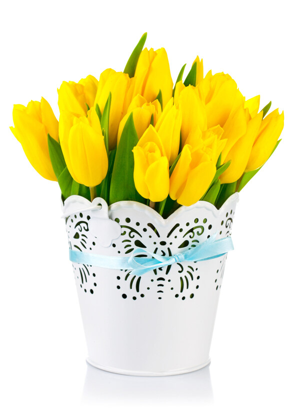 花瓶里的黄色郁金香图片