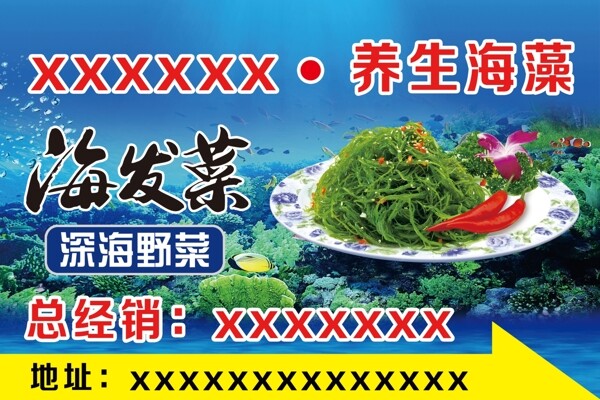 海发菜图片