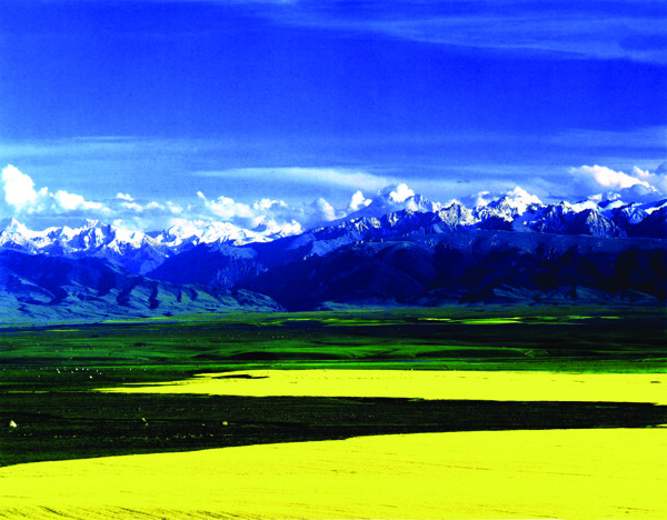 新疆的美丽风景