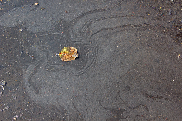 摘要雨