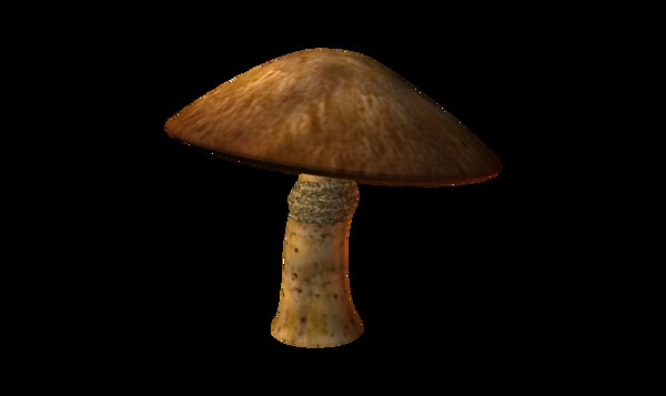 蘑菇实景png元素