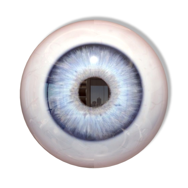 医学人体眼球模型