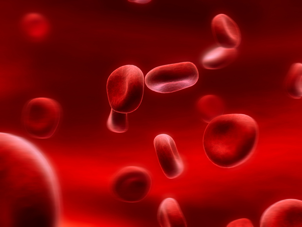 红色血细胞图片