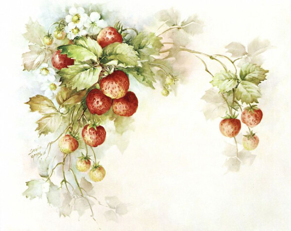 草莓绘画图片
