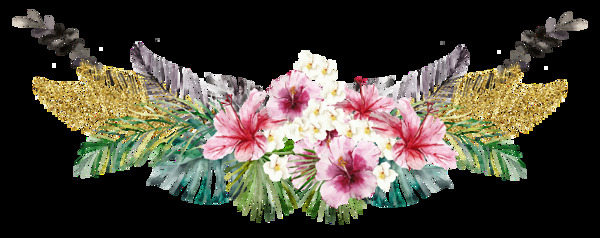 五彩绚丽花卉透明素材