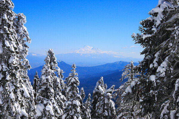 雪景