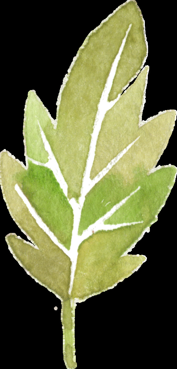 嫩绿生长树叶透明装饰素材