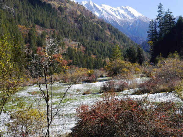 九寨沟山水图片