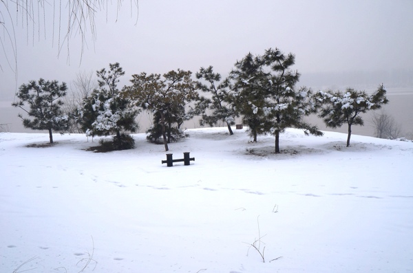 黄河岸踏雪小景图片