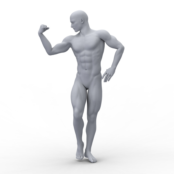 长着肌肉的塑料男人模型图片