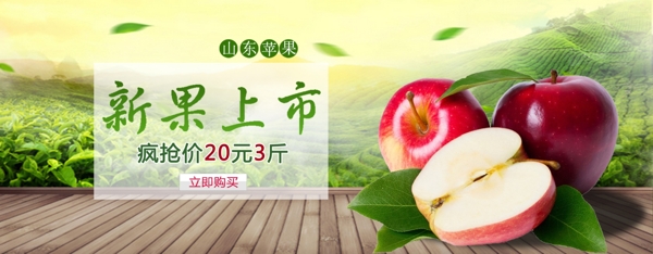 苹果水果美食banner