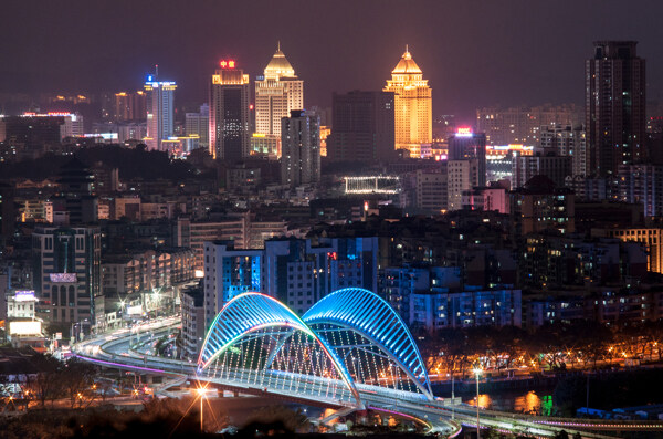 东华大桥夜景图片