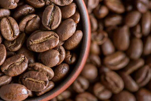 咖啡豆实拍图图片
