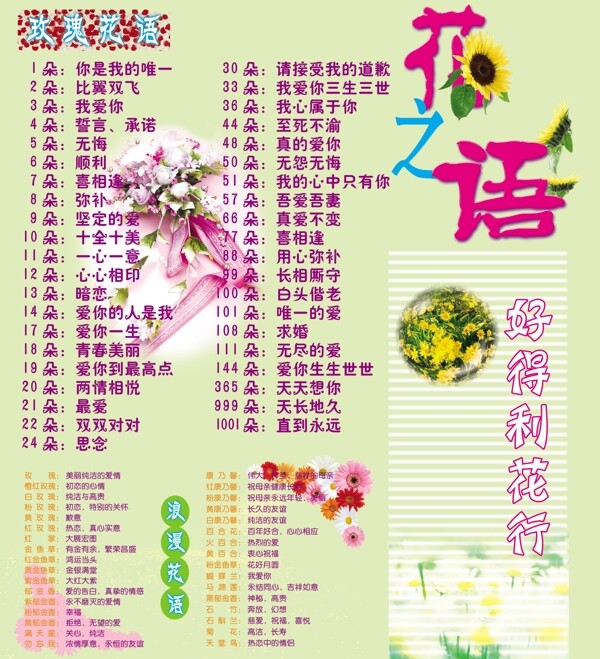 玫瑰花语图片