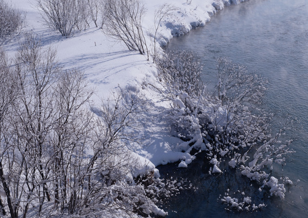 冰天雪地