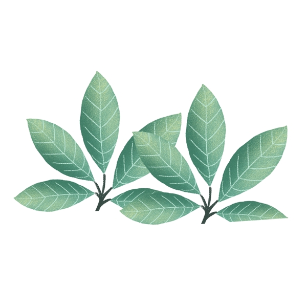 手绘插画绿色树叶植物素材