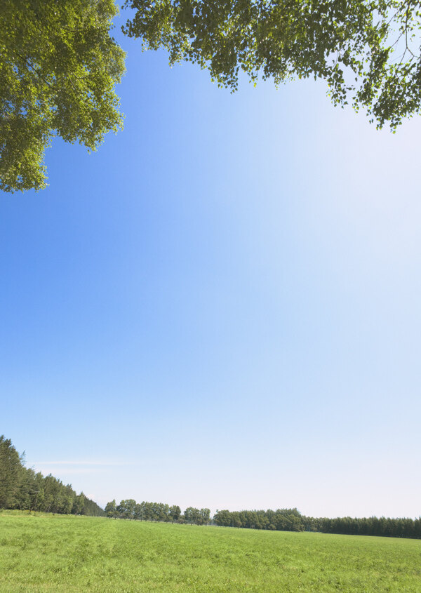 蓝天下的草原风景图片图片