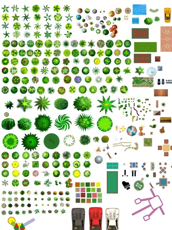 小树抠图配名植物