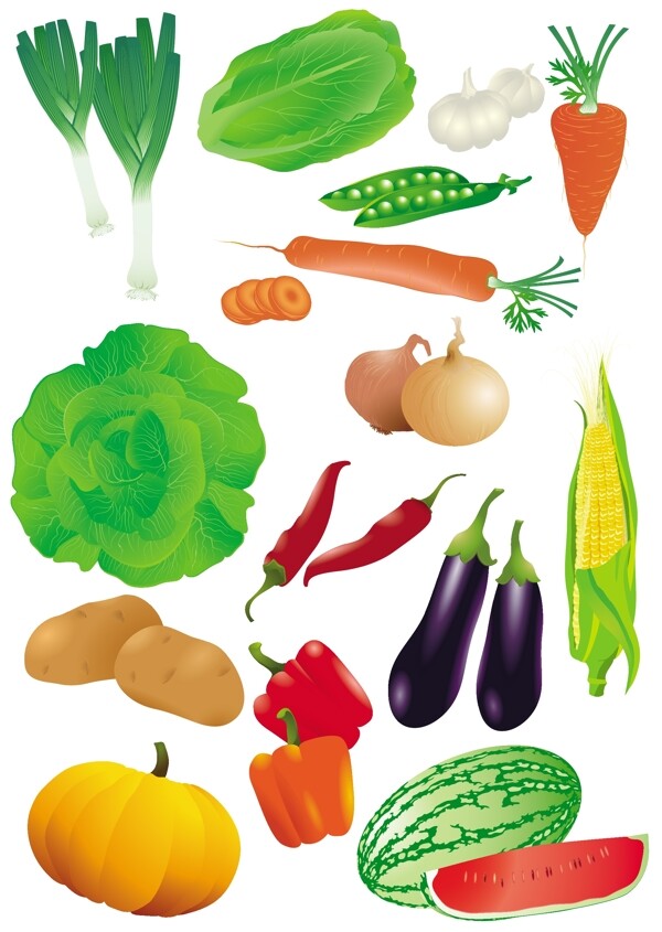 水果和蔬菜的共同载体材料