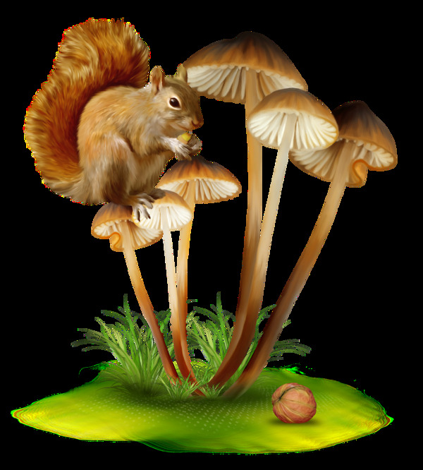 卡通松鼠蘑菇图案元素