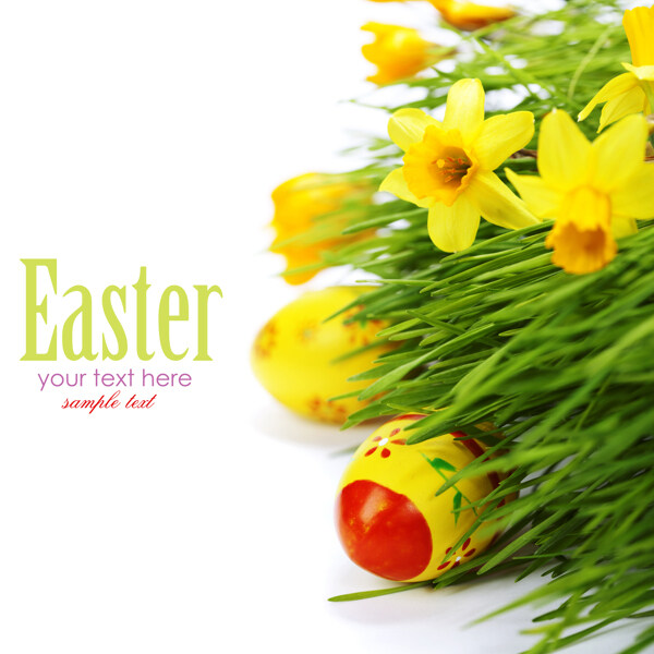 复活节鲜花与彩蛋图片