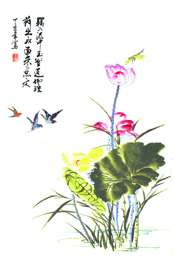 荷花小鸟图片