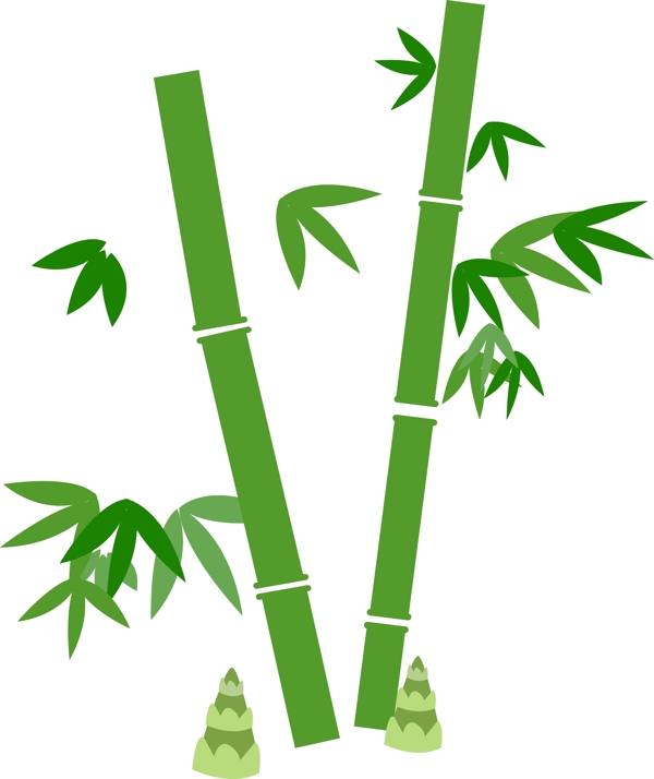 竹子竹叶和小竹笋