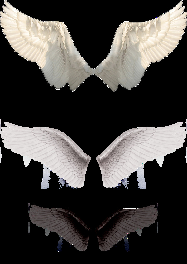 三色翅膀装饰素材