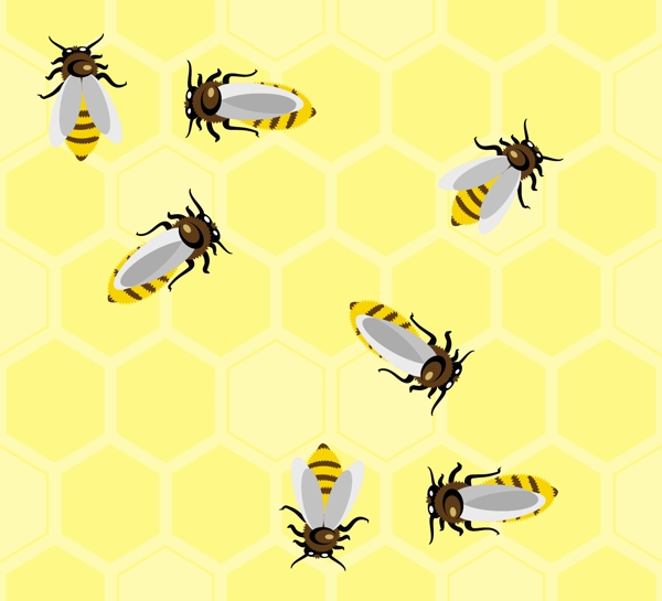 蜜蜂广告图片