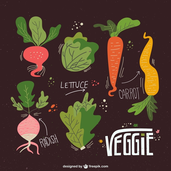 6款彩绘蔬菜设计矢量图