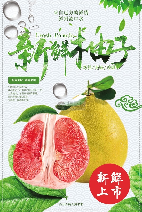 新鲜柚子海报设计