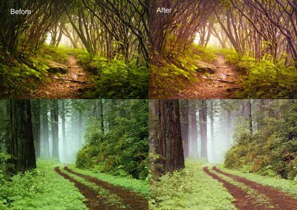 森林照片柔化处理调色动作