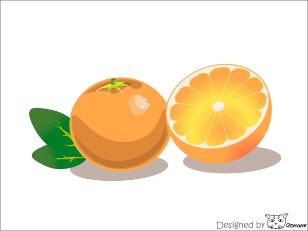 橘子水果橙子orange原创