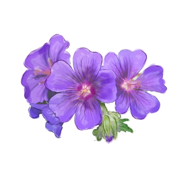 原创手绘水彩风格紫色花朵花束可商用元素