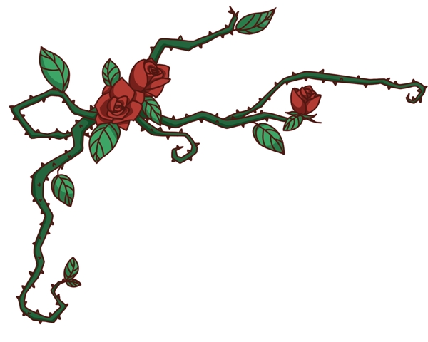 红色的玫瑰花藤插画