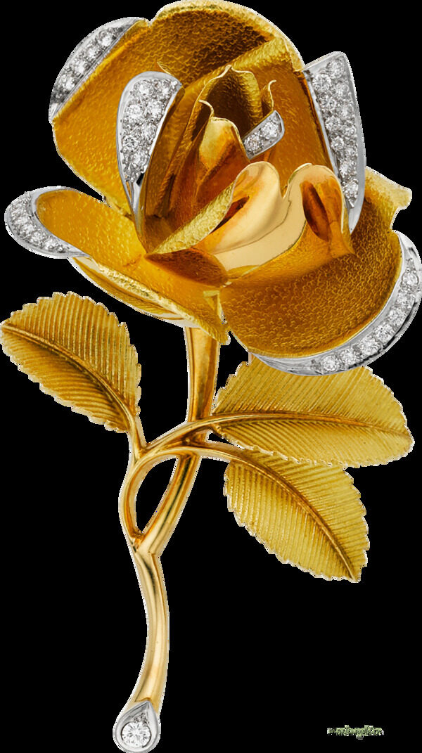 金色玫瑰璀璨钻石边圈png元素