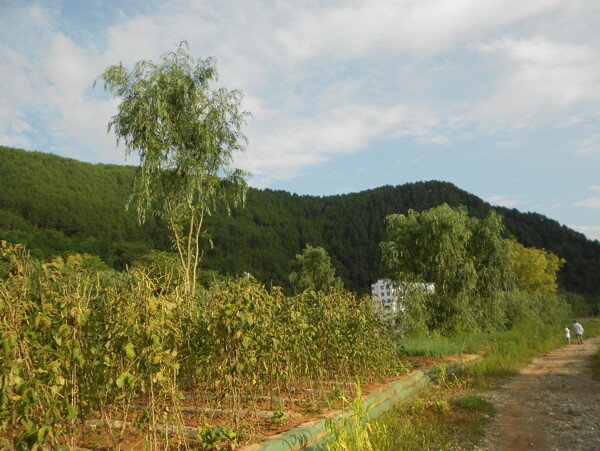 凤县风景图片