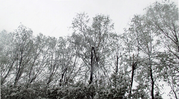 雪景图片