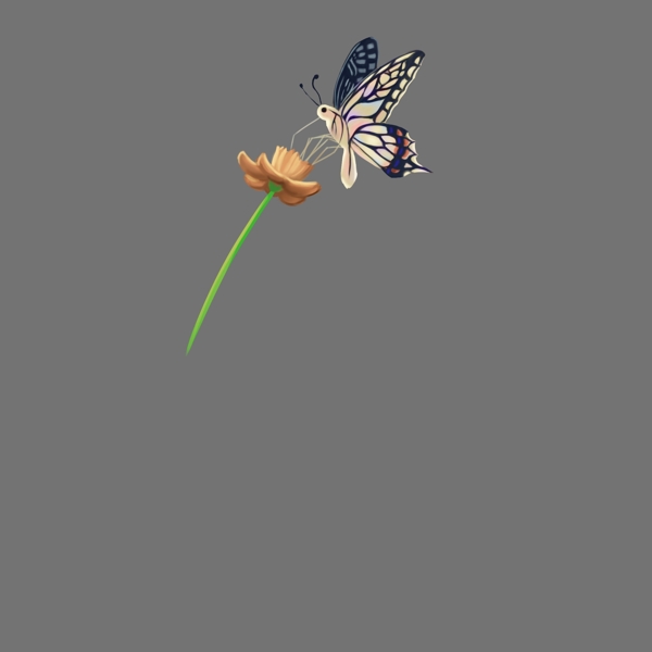 采花的蝴蝶装饰插画