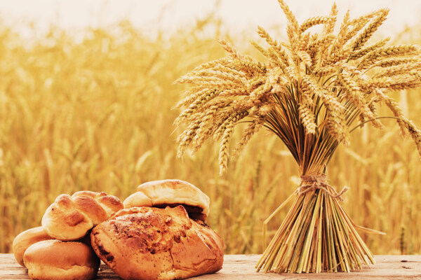 麦穗与全麦面包图片