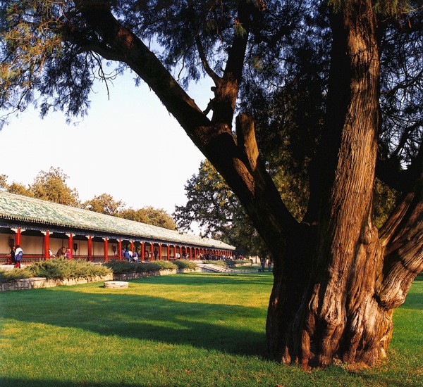 北京景色景观特色天坛古迹名胜风光建筑旅游广告素材大辞典