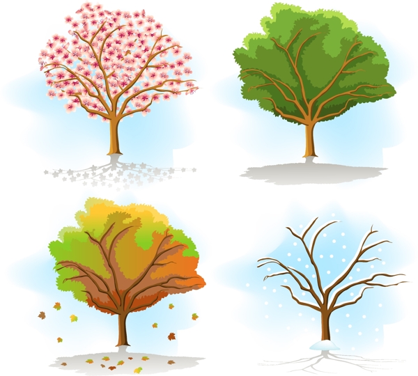 树的四季图片