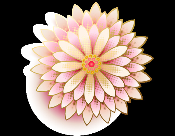 粉色牡丹花朵插画png元素