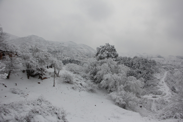 雪景图片